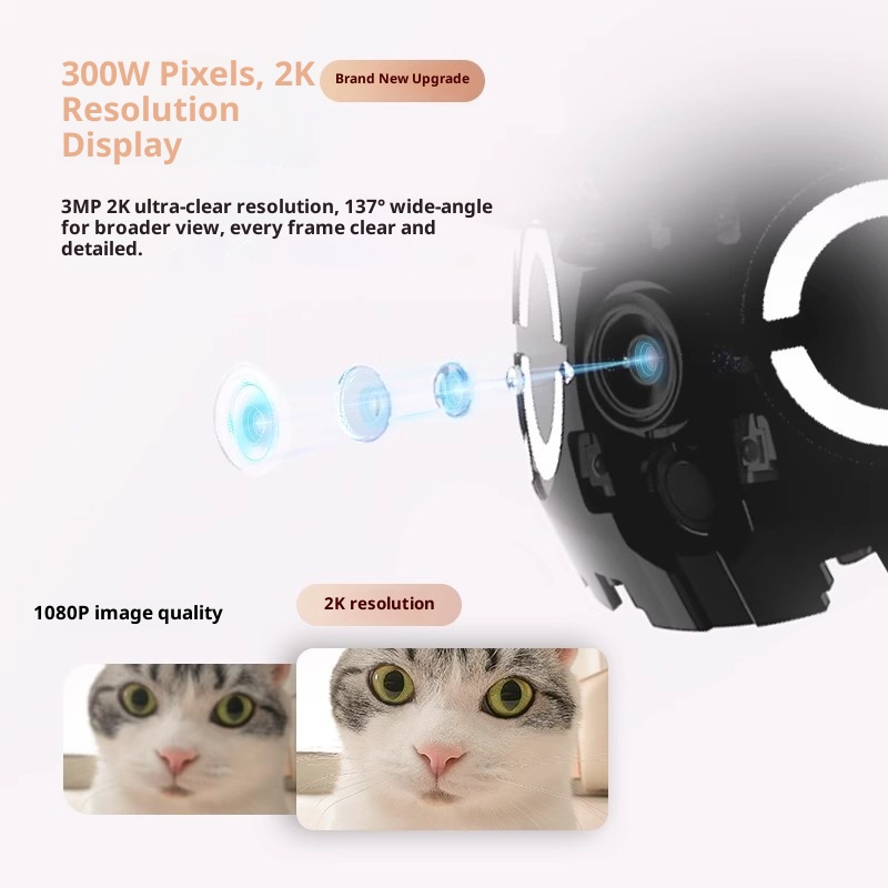 Enabot ROLA روبوت ذكي صغير كام - مراجعة Home Security Robots وسعره